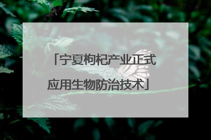 宁夏枸杞产业正式应用生物防治技术