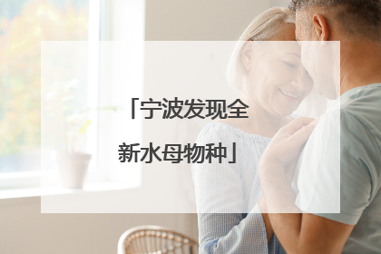 宁波发现全新水母物种