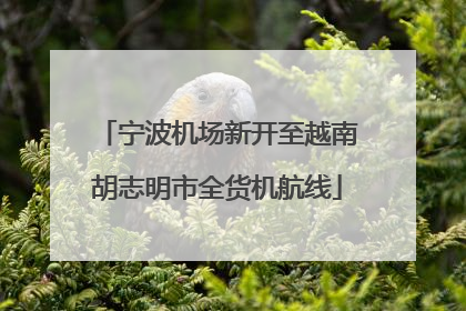 宁波机场新开至越南胡志明市全货机航线