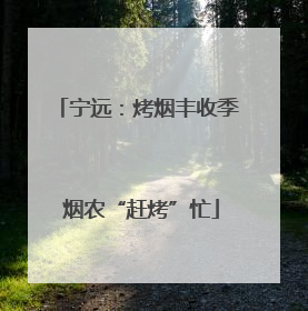 宁远：烤烟丰收季 烟农“赶烤”忙
