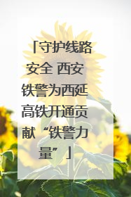 守护线路安全 西安铁警为西延高铁开通贡献“铁警力量”