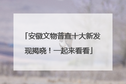 安徽文物普查十大新发现揭晓！一起来看看