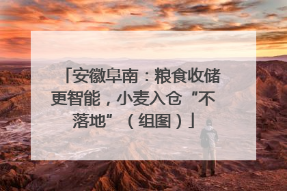 安徽阜南：粮食收储更智能，小麦入仓“不落地”（组图）