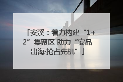 安溪：着力构建“1+2”集聚区 助力“安品出海·抢占先机”