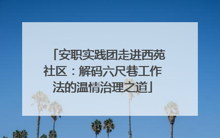 安职实践团走进西苑社区：解码六尺巷工作法的温情治理之道