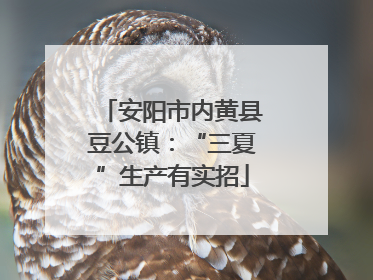 安阳市内黄县豆公镇：“三夏”生产有实招