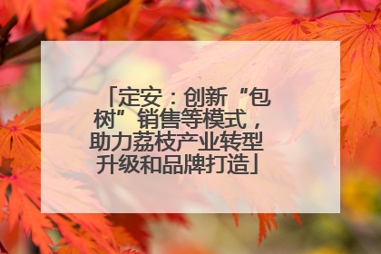 定安：创新“包树”销售等模式，助力荔枝产业转型升级和品牌打造