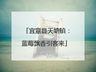 宜章县天塘镇：蓝莓飘香引客来