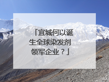 宜城何以诞生全球染发剂领军企业？