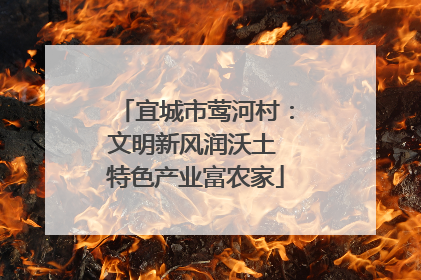 宜城市莺河村：文明新风润沃土 特色产业富农家