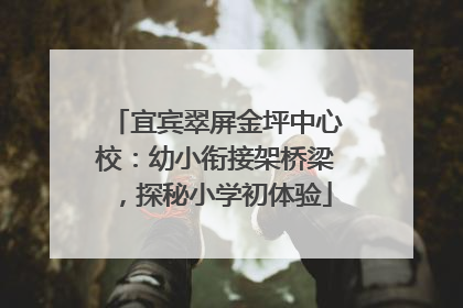 宜宾翠屏金坪中心校：幼小衔接架桥梁，探秘小学初体验