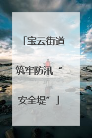 宝云街道筑牢防汛“安全堤”