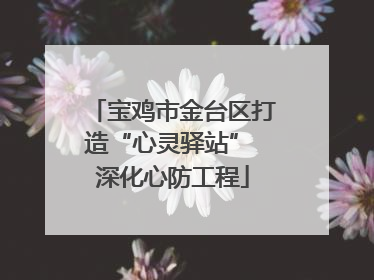 宝鸡市金台区打造“心灵驿站” 深化心防工程