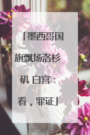 墨西哥国旗飘扬洛杉矶 白宫：看，罪证
