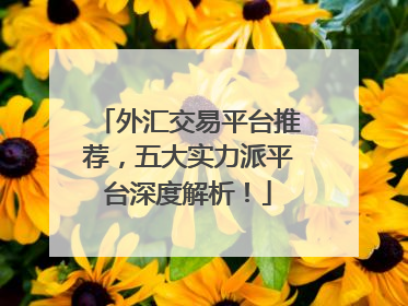 外汇交易平台推荐，五大实力派平台深度解析！