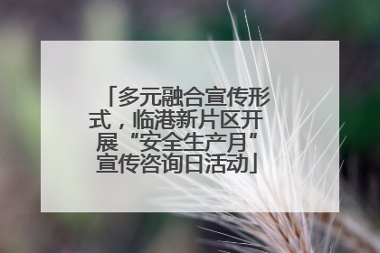多元融合宣传形式，临港新片区开展“安全生产月”宣传咨询日活动