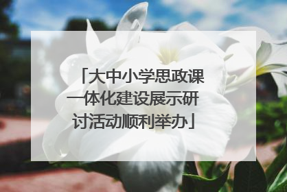 大中小学思政课一体化建设展示研讨活动顺利举办