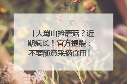大蜀山捡蘑菇？近期疯长！官方提醒：不要随意采摘食用
