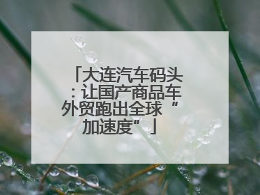 大连汽车码头：让国产商品车外贸跑出全球“加速度”