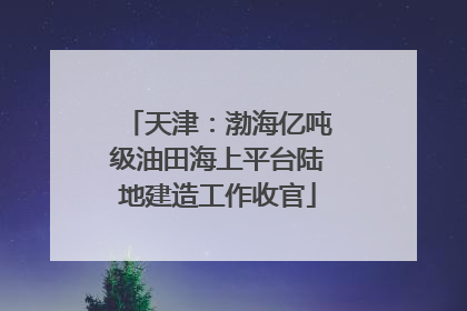 天津：渤海亿吨级油田海上平台陆地建造工作收官