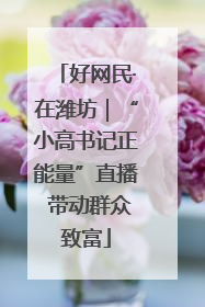 好网民·在潍坊｜“小高书记正能量”直播 带动群众致富