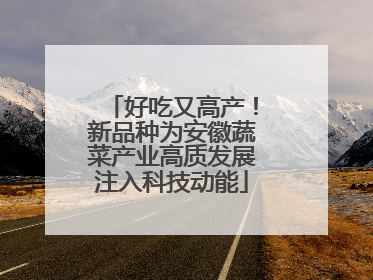 好吃又高产！新品种为安徽蔬菜产业高质发展注入科技动能