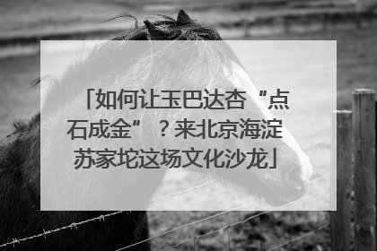 如何让玉巴达杏“点石成金”？来北京海淀苏家坨这场文化沙龙