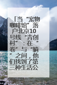 当“宠物咖啡馆”落户北京10号线“青创村”：在“卷”与“躺”之间，他们找到了第三种生活公式