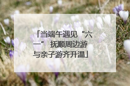 当端午遇见“六一” 抚顺周边游与亲子游齐升温