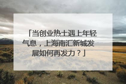 当创业热土遇上年轻气息，上海南汇新城发展如何再发力？