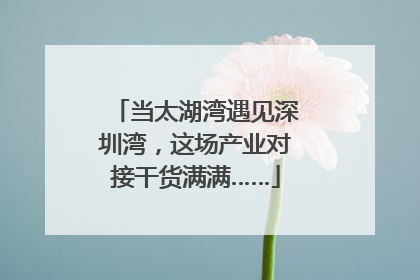 当太湖湾遇见深圳湾，这场产业对接干货满满……