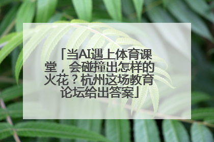 当AI遇上体育课堂，会碰撞出怎样的火花？杭州这场教育论坛给出答案