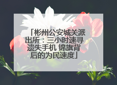 彬州公安城关派出所：三小时速寻遗失手机 锦旗背后的为民速度