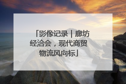 影像记录｜廊坊经洽会，现代商贸物流风向标