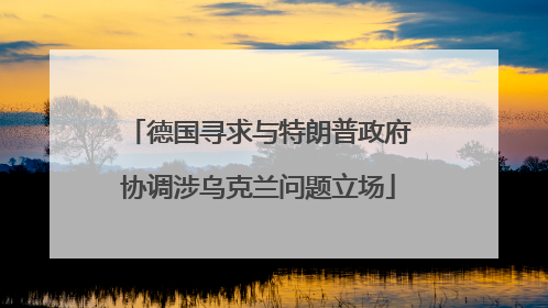 德国寻求与特朗普政府协调涉乌克兰问题立场