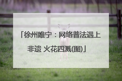 徐州睢宁：网络普法遇上非遗 火花四溅(图)