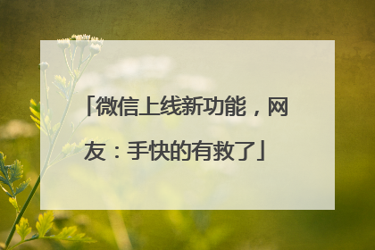微信上线新功能，网友：手快的有救了