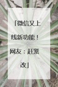 微信又上线新功能！网友：赶紧改