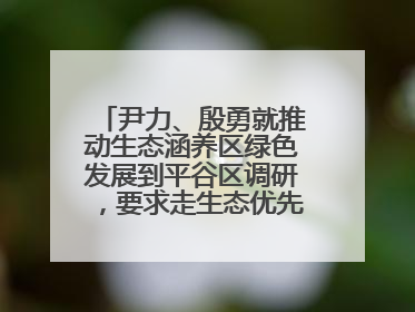 尹力、殷勇就推动生态涵养区绿色发展到平谷区调研，要求走生态优先、绿色低碳的高质量发展之路