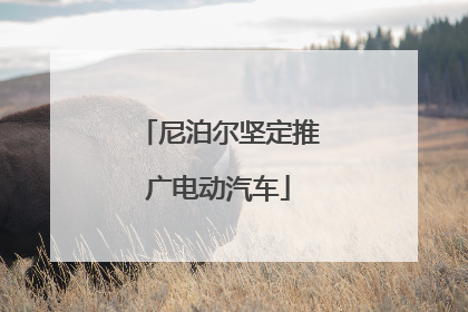 尼泊尔坚定推广电动汽车