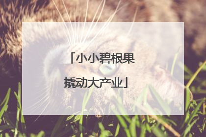 小小碧根果撬动大产业
