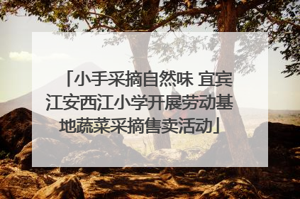 小手采摘自然味 宜宾江安西江小学开展劳动基地蔬菜采摘售卖活动