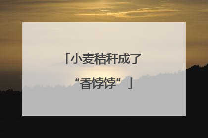 小麦秸秆成了“香饽饽”