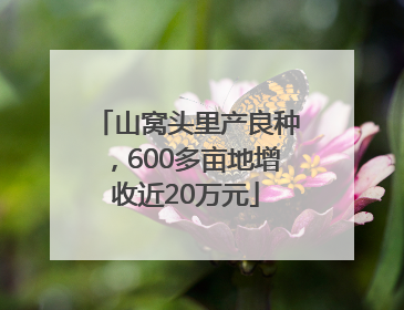 山窝头里产良种，600多亩地增收近20万元