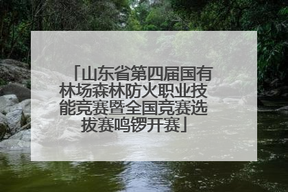 山东省第四届国有林场森林防火职业技能竞赛暨全国竞赛选拔赛鸣锣开赛