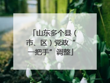 山东多个县（市、区）党政“一把手”调整