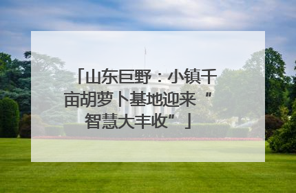 山东巨野：小镇千亩胡萝卜基地迎来“智慧大丰收”