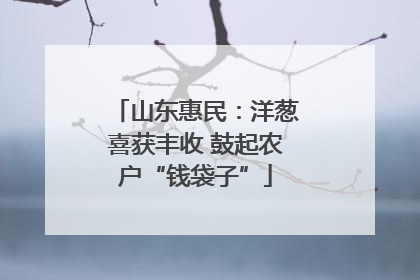 山东惠民：洋葱喜获丰收 鼓起农户“钱袋子”