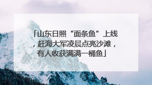 山东日照“面条鱼”上线，赶海大军凌晨点亮沙滩，有人收获满满一桶鱼