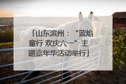山东滨州：“蓝焰童行 欢庆六一”主题嘉年华活动举行